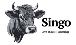 Singo Livestock Farming Black & White